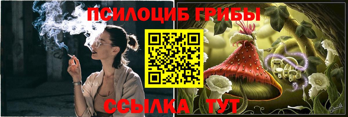 Галлюциногенные грибы MAGIC MUSHROOMS  Вход с VPN  Южно-Сахалинск 