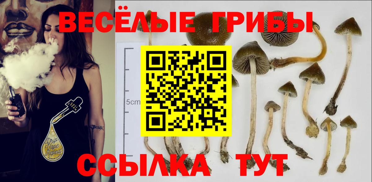 Галлюциногенные грибы Psilocybe Южно-Сахалинск